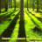 Секреты пейзажной фотосъемки Тома Маки - Секреты пейзажной фотосъемки Тома Маки