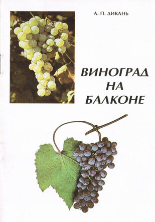 Дикань А.П. Виноград на балконе ​Издание посвящено рекомендациям по выращиванию винограда в домашних условиях.