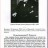Уинстон Черчилль в Воронцовском дворце. 4-11 февраля 1945 г. - Уинстон Черчилль в Воронцовском дворце. 4-11 февраля 1945 г.