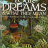 Your Dreams and what they mean - Your Dreams and what they mean